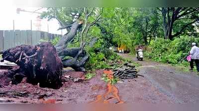 ವರುಣನ ಆರ್ಭಟಕ್ಕೆ ಉರುಳಿದ ಮರ