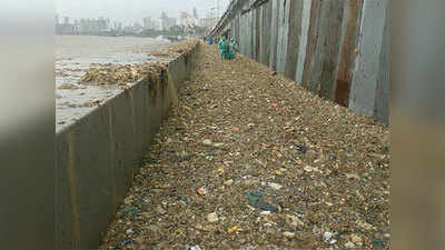 मुंबई: चौपाट्यांवर वाहून आला १८८ मॅट्रिक टन कचरा