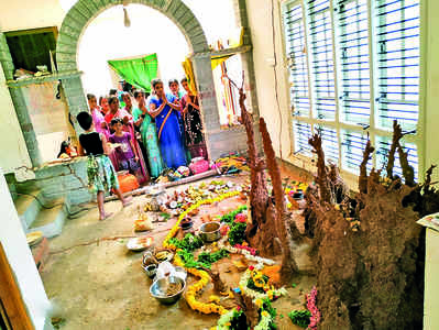 ಕೋಟಿ ಮೌಲ್ಯದ ಮನೆಯೇ ನಾಗದೇವರ ದೇವಾಲಯ!