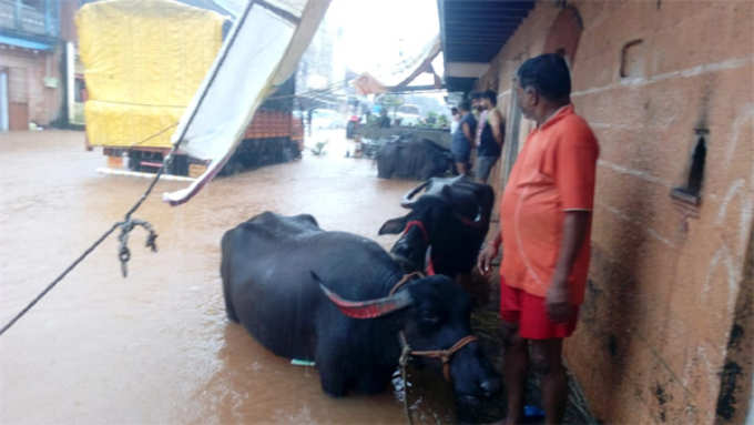 kolhapur-flood-2-maharashtr