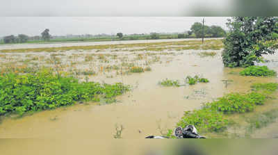 ಐತಿಹಾಸಿಕ ನಾಗನೂರು ಕೆರೆ ಭರ್ತಿ