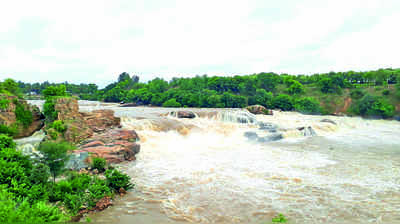 ‘ಧನುಷ್ಕೋಟಿ’ಯಲ್ಲಿ ಜಲ ವೈಭವ