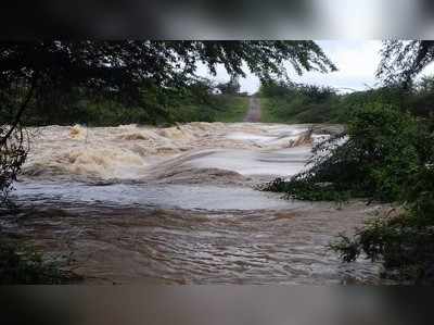 ಬೆಳಗಾವಿ ಪ್ರವಾಹ: 48 ಗಂಟೆಗಳ ಬಳಿಕ ಮರವೇರಿ ಕುಳಿತ ದಂಪತಿ ರಕ್ಷಣೆ