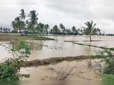 ಡ್ಯಾಂ ನೀರು ಬಿಟ್ಟಿಲ್ಲ ಆದರೂ ತುಂಗಭದ್ರೆ ಅಬ್ಬರ !