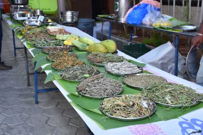 திருப்பூரில் நடந்த இயற்கை திருமணம்