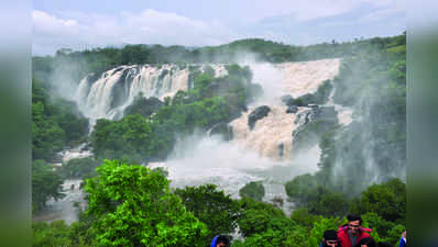 ಭರಚುಕ್ಕಿಯಲ್ಲಿ  ಜಲ ವೈಭವ: ಪ್ರವಾಸಿಗರು ಫಿದಾ