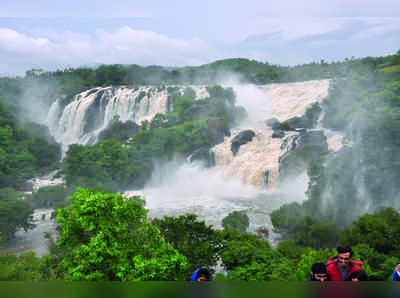 ಭರಚುಕ್ಕಿಯಲ್ಲಿ  ಜಲ ವೈಭವ: ಪ್ರವಾಸಿಗರು ಫಿದಾ