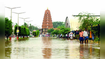 ದ್ವೀಪದಂತಾದ ನಂಜನಗೂಡು, ಹನಗೋಡು