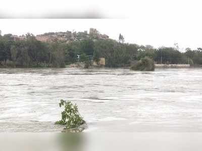 ತುಂಗಭದ್ರಾ ಜಲಾಶಯದಿಂದ ನದಿಗೆ ನೀರು: ನವವೃಂದಾವನ ಗಡ್ಡೆಯಲ್ಲಿ ಸಿಲುಕಿದ ಕಾವಲುಗಾರರು