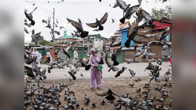 काश्मीर: ईदनिमित्त प्रशासनाकडून खाद्य पदार्थांचे वाटप