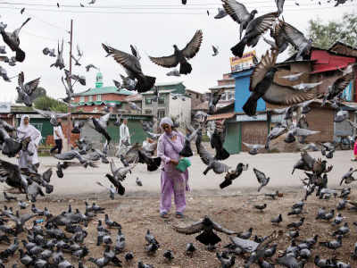 काश्मीर: ईदनिमित्त प्रशासनाकडून खाद्य पदार्थांचे वाटप