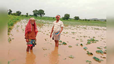 ಕಟಾವಿಗೆ ಬಂದ ಕ್ಯಾಬೀಜ ನಾಶ