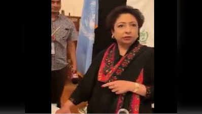 UN में पाक की स्थायी प्रतिनिधि मलीहा लोधी पर फूटा पाकिस्तानी का गुस्सा, बताया- भ्रष्ट और चोर
