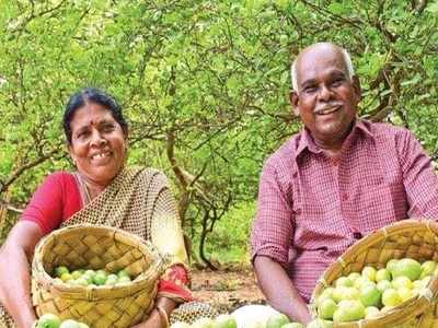 கொள்ளையர்களுடன் சண்டையிட்ட நெல்லை முதிய தம்பதிக்கு வீரதீர விருது- ஆட்சியர் பரிந்துரை!