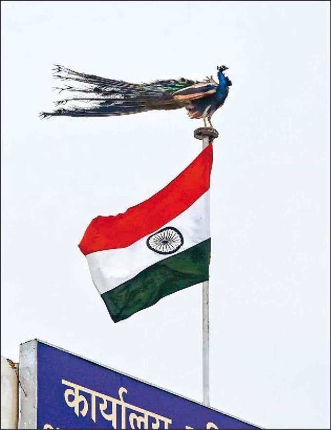 Independence day Wishes 7.