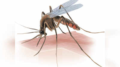 मुंबईत मलेरिया, गॅस्ट्रोचा ‘ताप’ वाढला