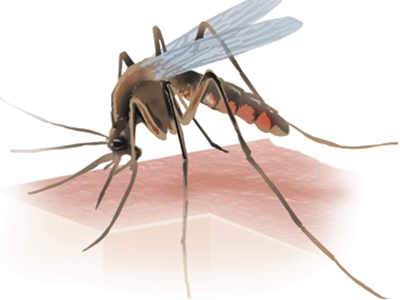 मुंबईत मलेरिया, गॅस्ट्रोचा ‘ताप’ वाढला