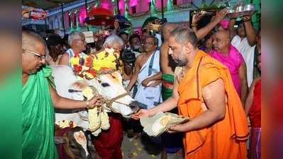 ರಾಯರು ಕಲಿಯುಗದ ಕಾಮಧೇನು, ಕಲ್ಪವೃಕ್ಷ