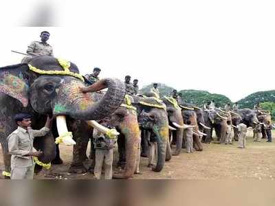 ಮೈಸೂರು ದಸರಾ ಗಜ ಪಯಣಕ್ಕೆ ಮುಹೂರ್ತ ಫಿಕ್ಸ್‌, ಗಜಪಡೆಗಳ ಫುಲ್‌ ಲಿಸ್ಟ್‌ ಹೀಗಿದೆ