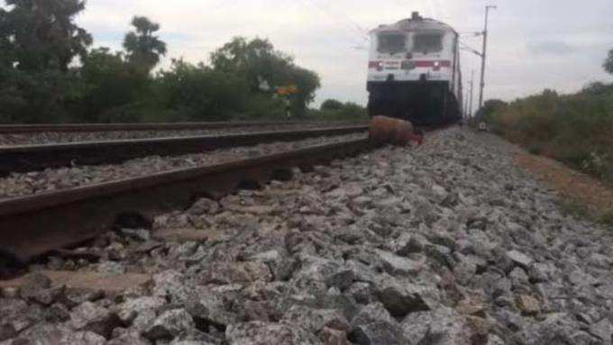 எரிவாயு சிலிண்டரை தண்டவாளத்தில் வைத்து மோதவிட்ட இளைஞர் கைது