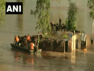 देखें: बाढ़ की वजह से डूब चुका था आधा घर, छत पर मौजूद बकरियों को बचाने पहुंची इंडियन आर्मी