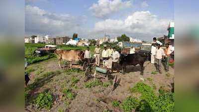 शर्यतीत बैलांना मारणाऱ्यांवर गुन्हा