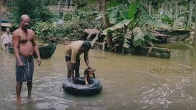 മനുഷ്യജീവന് മാത്രമല്ല വിലയുള്ളത്, ഈ പട്ടിയുടെ സ്നേഹം കണ്ടാല്‍ കണ്ണു നിറയും!