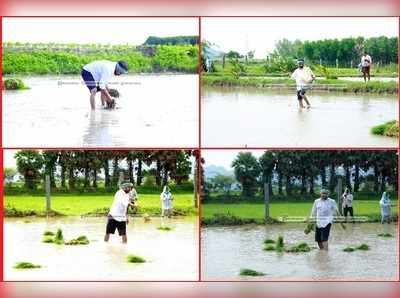 రైతు బిడ్డ ఆర్కే.. వరినాట్లు వేసిన వైసీపీ ఎమ్మెల్యే