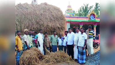 ಮೇವು ಪೂರೈಸಿ ಮಾನವೀಯತೆ ಮೆರೆದ ಮಧು