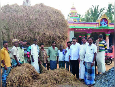 ಮೇವು ಪೂರೈಸಿ ಮಾನವೀಯತೆ ಮೆರೆದ ಮಧು