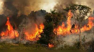 জ্বলছে অ্যামাজন, সাত দিনে ৯,৫০০ বার আগুন অরণ্যে