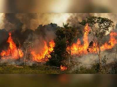 জ্বলছে অ্যামাজন, সাত দিনে ৯,৫০০ বার আগুন অরণ্যে