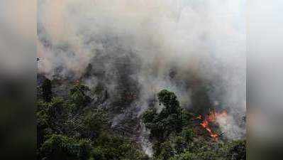 अमेजन के जंगलों में दो हफ्ते से नहीं बुझ रही आग, दुनिया के पर्यावरण को बड़ा नुकसान