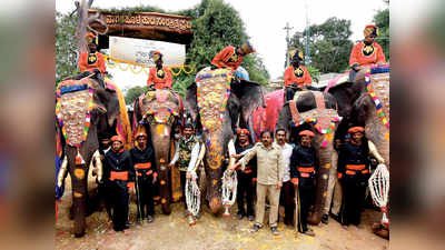 ದಸರಾ ಗಜಪಯಣಕ್ಕೆ ಚಾಲನೆ: ಅರ್ಜುನನ ನೇತೃತ್ವದ ಗಜಪಡೆ ಜತೆ ಸೆಲ್ಫಿಗೆ ಮುಗಿಬಿದ್ದ ಜನ