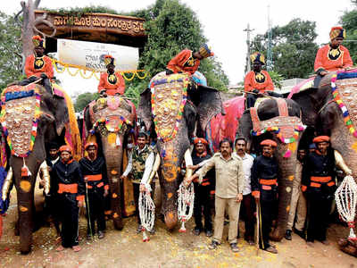 ದಸರಾ ಗಜಪಯಣಕ್ಕೆ ಚಾಲನೆ: ಅರ್ಜುನನ ನೇತೃತ್ವದ ಗಜಪಡೆ ಜತೆ ಸೆಲ್ಫಿಗೆ ಮುಗಿಬಿದ್ದ ಜನ