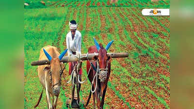 কৃষিঋণ নিয়ম শিথিল সুপারিশের ভাবনা রাষ্ট্রায়ত্ত ব্যাঙ্কগুলির