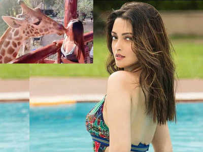 जिराफ ने Riya Sen को किया फ्रेंच किस, विडियो हुआ वायरल