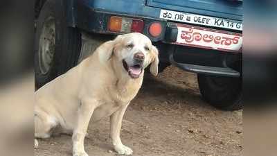 ಪೊಲೀಸ್‌ ಶ್ವಾನ ‘ರಮ್ಯಾ’ ಇನ್ನಿಲ್ಲ: 13 ವರ್ಷ ಸೇವೆ ಸಲ್ಲಿಸಿ ವಿದಾಯ