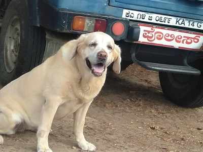 ಪೊಲೀಸ್‌ ಶ್ವಾನ ‘ರಮ್ಯಾ’ ಇನ್ನಿಲ್ಲ: 13 ವರ್ಷ ಸೇವೆ ಸಲ್ಲಿಸಿ ವಿದಾಯ