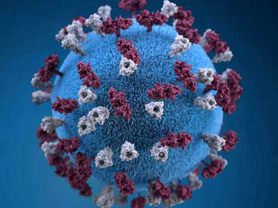 जानें, Measles से कैसे करें खुद का बचाव