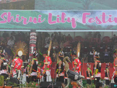 मणिपुर में 16 से 19 अक्टूबर के बीच होगा Shirui Lily Festival