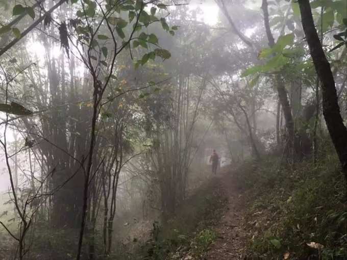 ಮಂಜು ಮುಸುಕಿದ ಪುನ್‌ಶಿಲೋಕ್‌ ಅರಣ್ಯದ ಸುಂದರ ನೋಟ