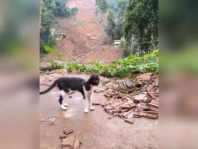 കവളപ്പാറയിലെ കിങ്ങിണി ആ ഉരുള്‍പൊട്ടല്‍ അതിജീവിച്ചു