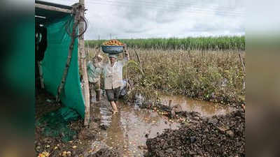 पूरग्रस्त शेतकऱ्यांची २ वर्षांची पीककर्जे माफ