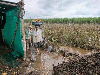 पूरग्रस्त शेतकऱ्यांची २ वर्षांची पीककर्जे माफ