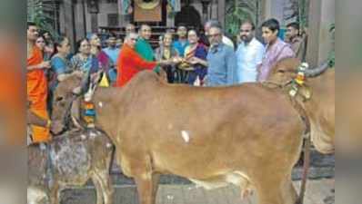 ಮೂರುಸಾವಿರ ಮಠಕ್ಕೆ ಗೋದಾನ