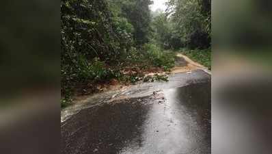 ಚಾರ್ಮಾಡಿ ಘಾಟಿಯಲ್ಲಿ ಲಘು ವಾಹನ ಸಂಚಾರಕ್ಕೆ ಅನುಮತಿ