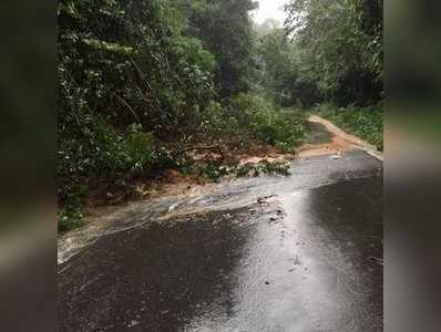 ಚಾರ್ಮಾಡಿ ಘಾಟಿಯಲ್ಲಿ ಲಘು ವಾಹನ ಸಂಚಾರಕ್ಕೆ ಅನುಮತಿ