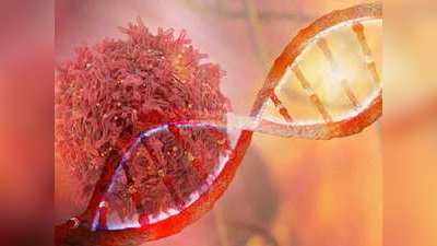 Cancer Cells आसपास के हेल्दी सेल्स को भी पहुंचाते हैं नुकसान: स्टडी