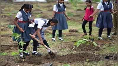 সবুজায়নে আরও গুরুত্ব, ২৭ রাজ্যে গাছ লাগাতে ৪৭,৪৩৬ কোটি অনুদান কেন্দ্রের!